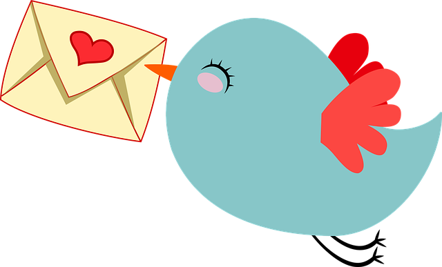 守护个人隐私与信息安全:就业市场中的防范策略